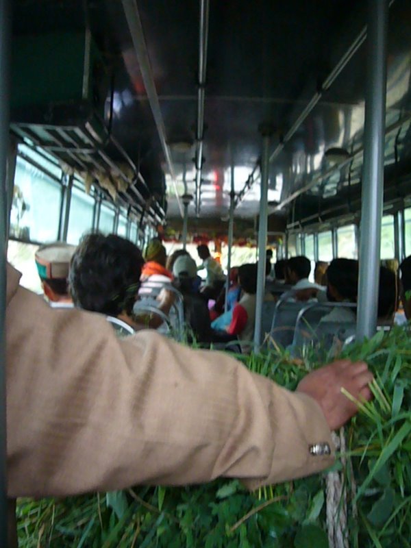 Some guy brought his harvest with him on the bus.